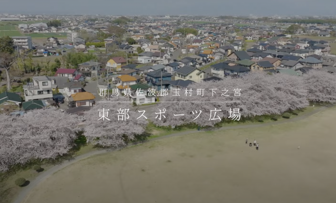 桜の咲く公園のPR映像